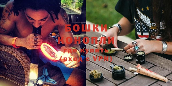 молекула духа Белокуриха