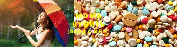 молекула духа Белокуриха