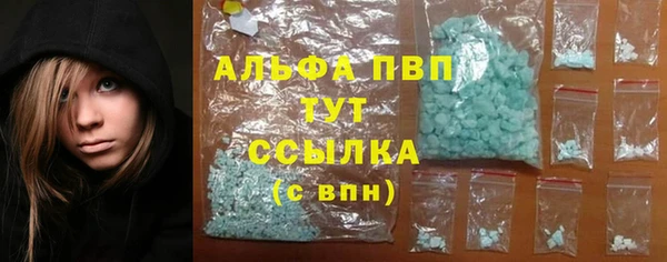 spice Беломорск