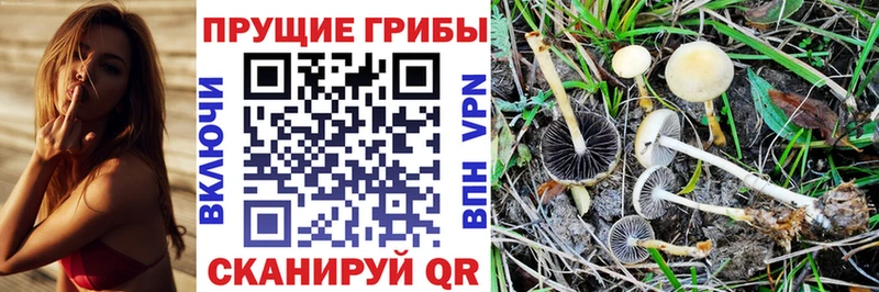 наркошоп Высоцк Псилоцибиновые грибы ЛСД